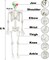6FT/185cm Life Size Skeleton Halloween Decor, Posable Poseable Human Skeleton, Full Size Skeleton with Posable Joints Glowing Eyes Skeleton for Halloween Party Outdoor Haunted House Decor